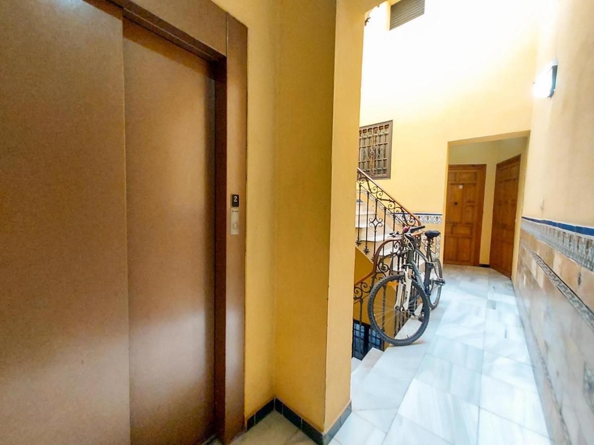 Apartamento Alameda Calatrava Севілья Екстер'єр фото